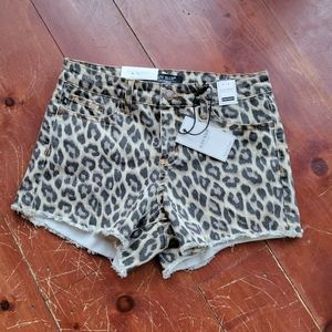 Judy Blue high waist leopard shorts